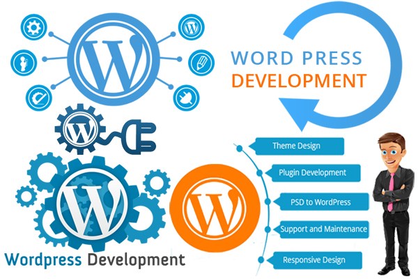  Outsource WordPress Development
