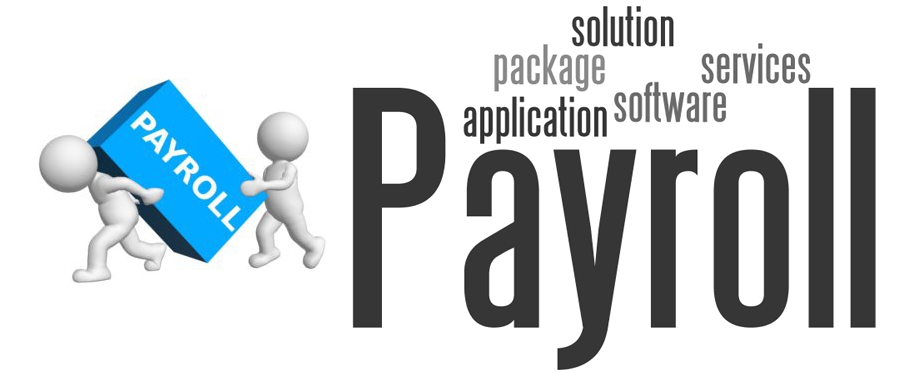 Payroll Management Software