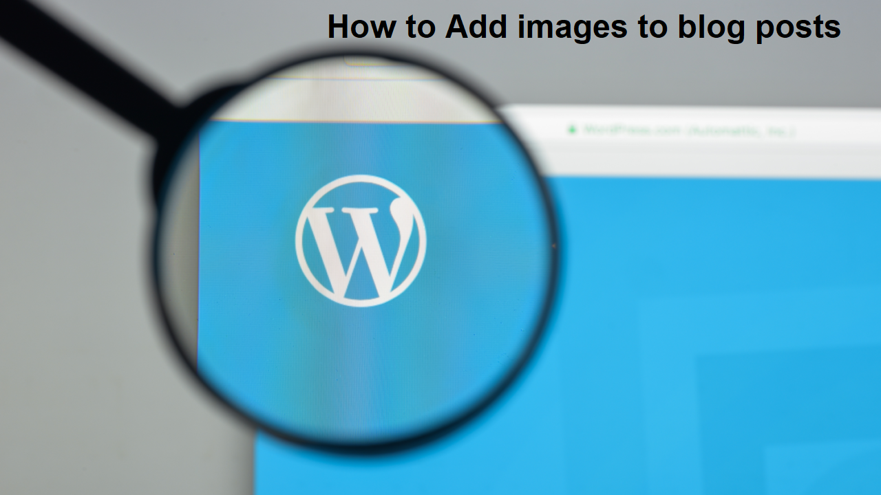 How to Add images to WordPress Custom blog posts