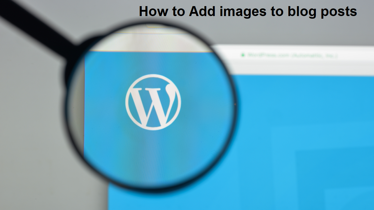 How to Add Images to WordPress Custom blog posts, Add images to blog posts