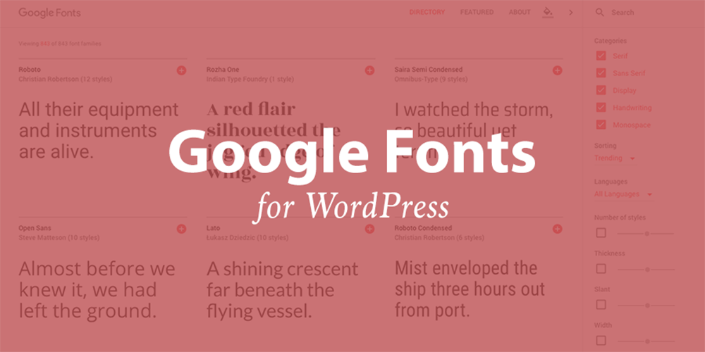 How to Use Google Font in the WordPress website